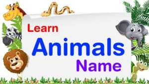 How to learn animals names for kids - The Soft Roots