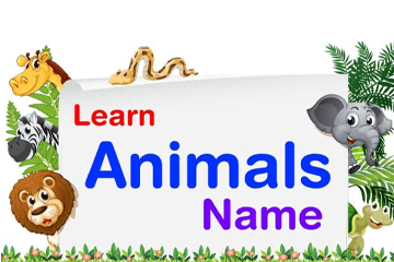 Learn Animals name