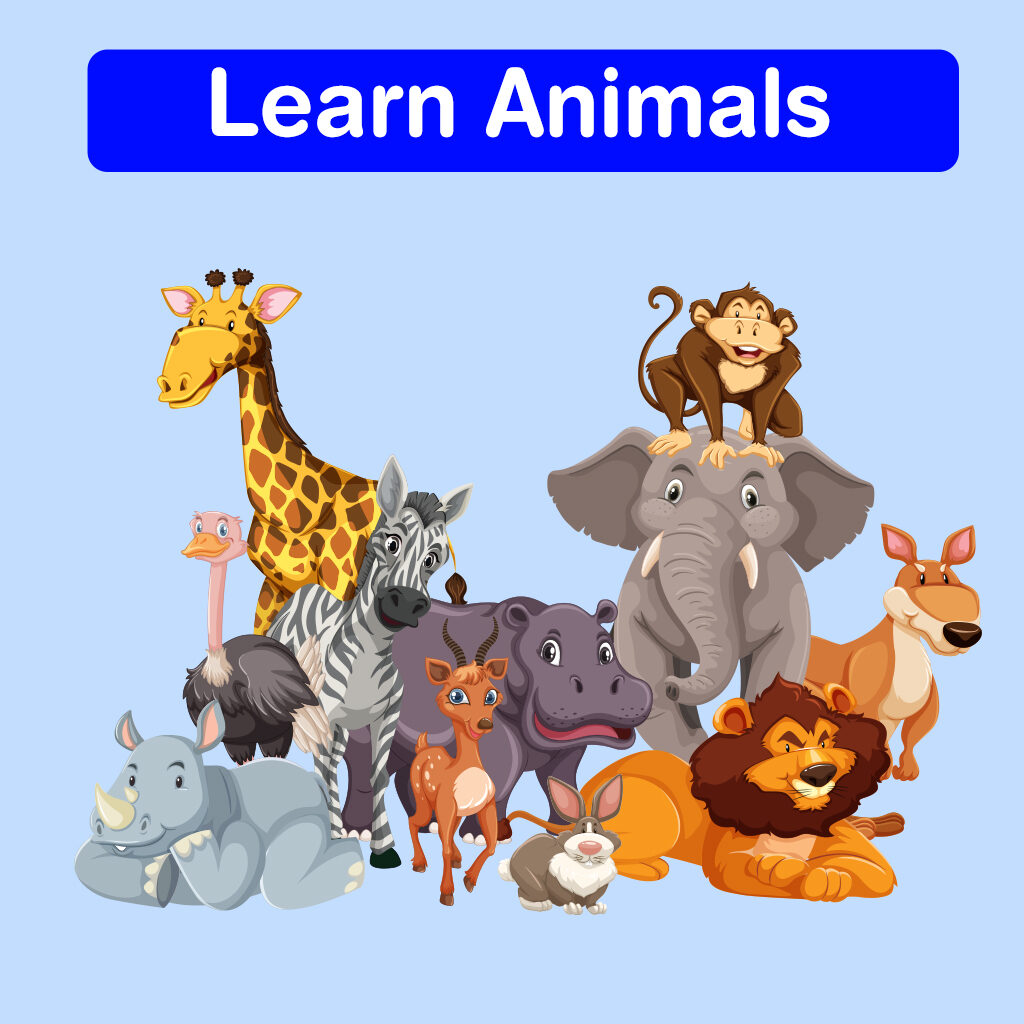 learn animals