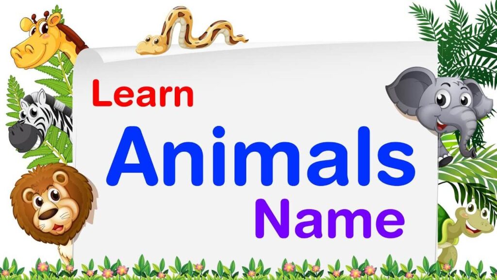 The Animal Names for kids | Animals names for kindergarten