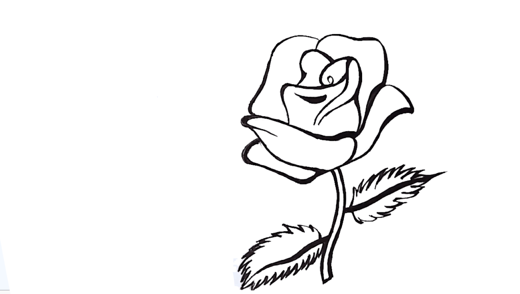 draw a rose coloring pages