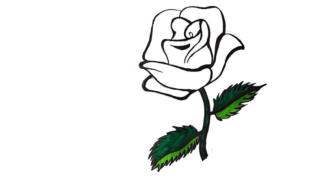 Wild rose flower drawing illustration. - Stock Illustration [38128256] -  PIXTA-saigonsouth.com.vn