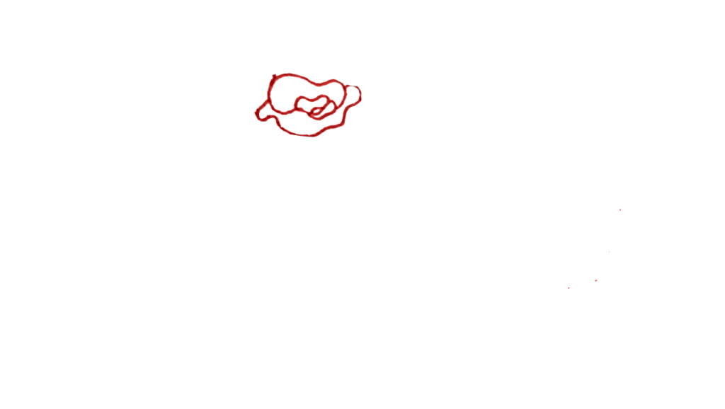 1) Step 1 Drawing Petal of the Rose Flower