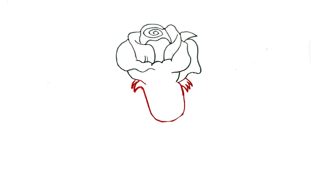 3) Step 3 drawing of a rosebud Flower