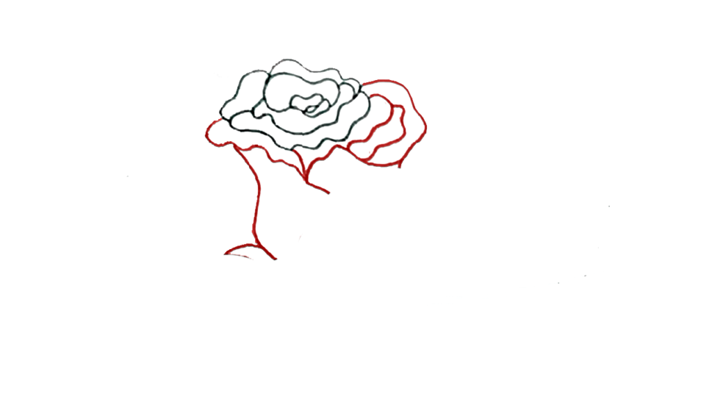 Step 3 Body Drawing of the Rose Flower