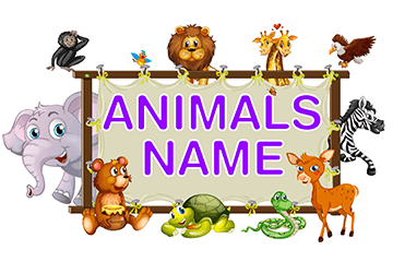 Learn Animal Names | Animal Videos for Kids
