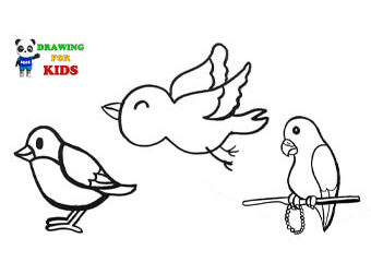 How To Draw A Birds | Flying Birds Drawing Step By Step