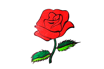 draw a rose