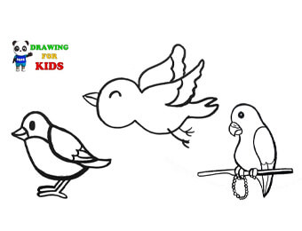 How To Draw A Birds | Flying Birds Drawing
