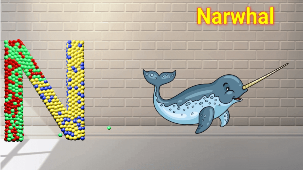 N for Narwhal