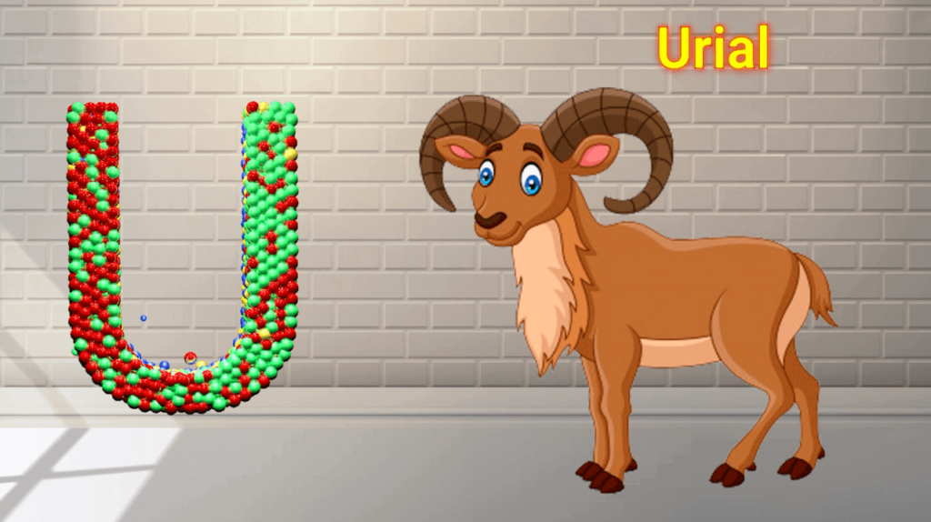 U for Urial
