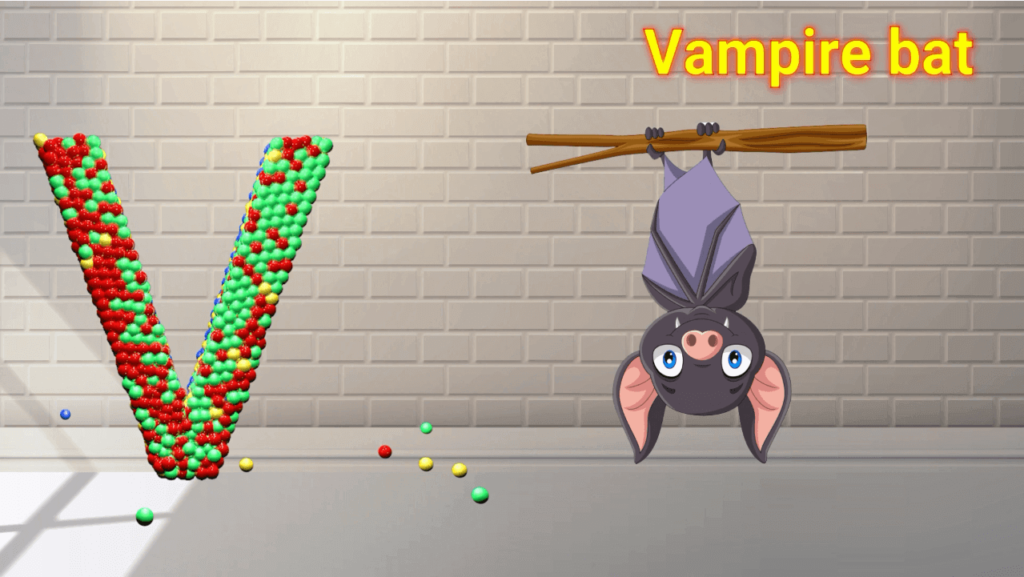 V for Vampire bat 