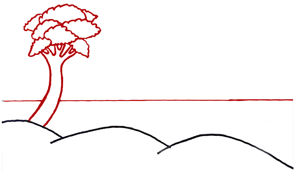  Step 12 Draw tree of the drawing of landscape easy