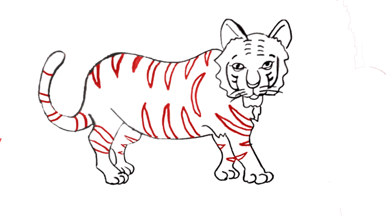 How To Draw Tiger Easily In 5 Steps For Beginners - The Soft Roots