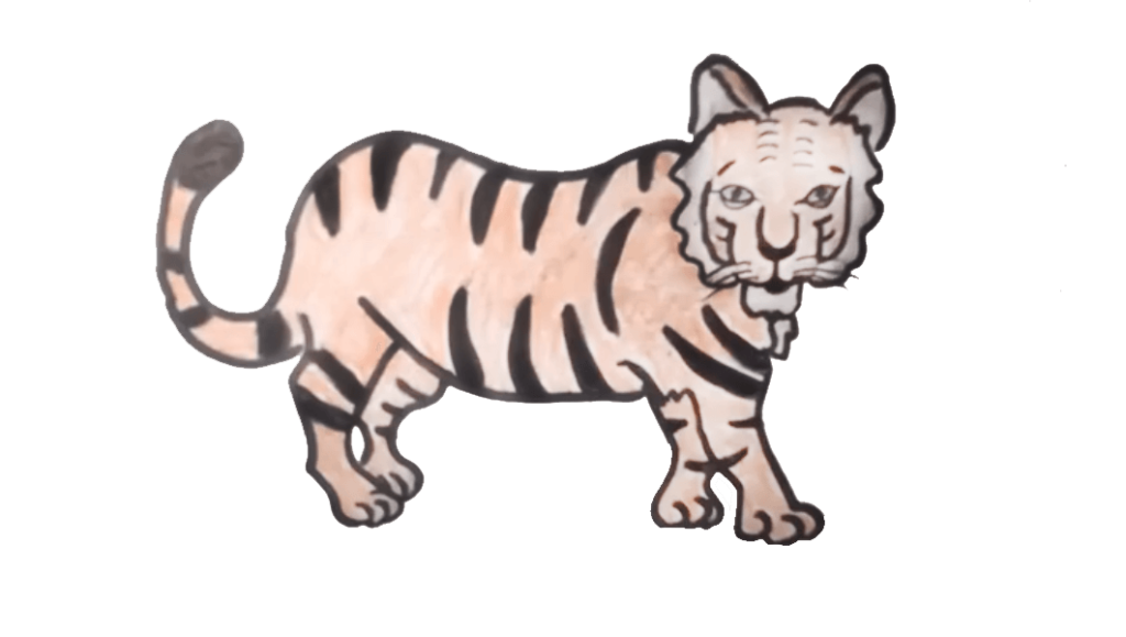 Step 5: Put Orange Color on the tiger drawing 
