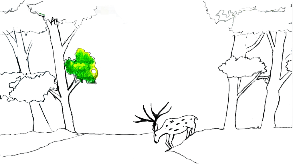 Step 7: Draw another tree on the right side of the tree drawing