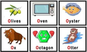 Learn Vocabulary Words That Start With O