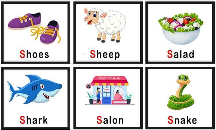 S words For Kids