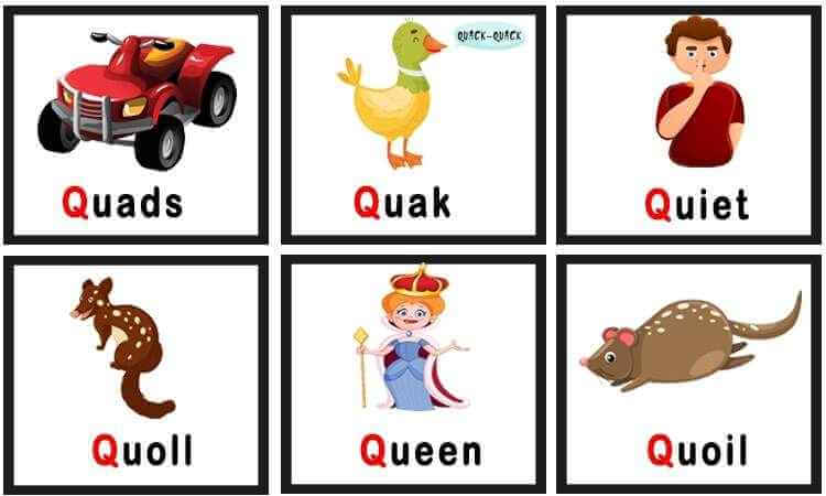 Learn Vocabulary Words That Start With Q