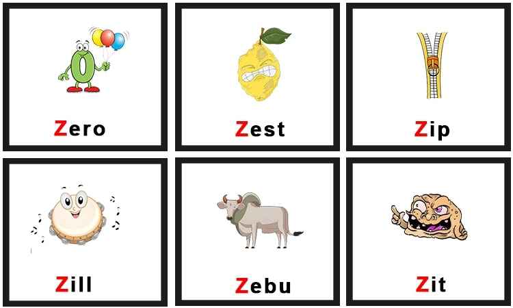 Letter Z Words For Kids