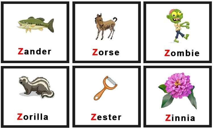 Learn Vocabulary Words That Start With Z