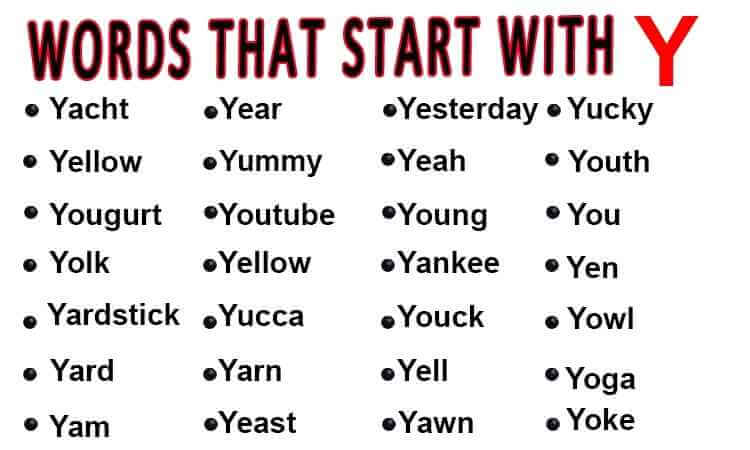 Y Words List For kids