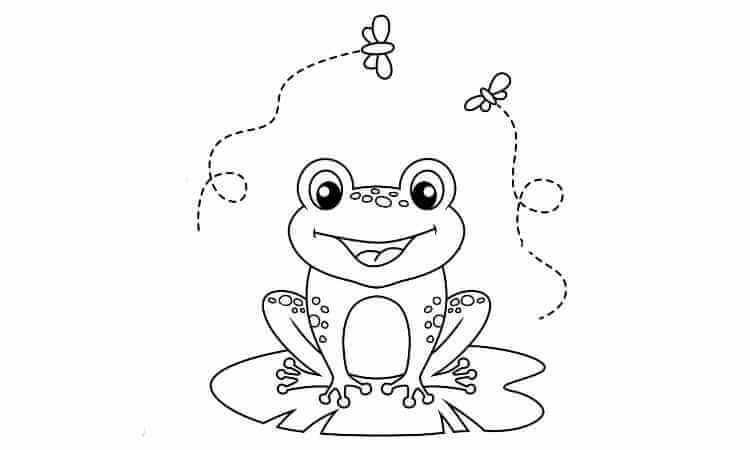 Frog sitting on leaf coloring pages