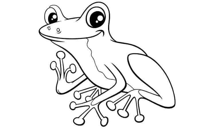 blue poison dart frog coloring pages