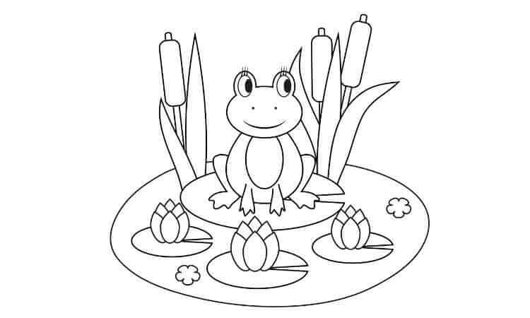 free Frog coloring pages