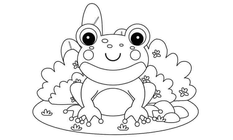 frog coloring page with outline