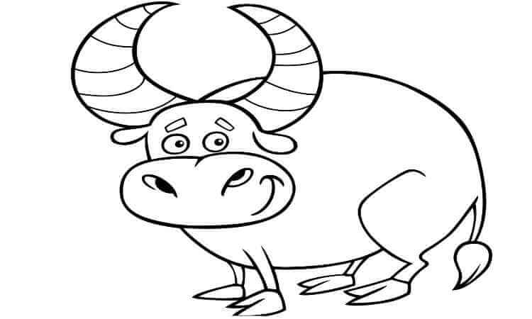 Bull Coloring pages