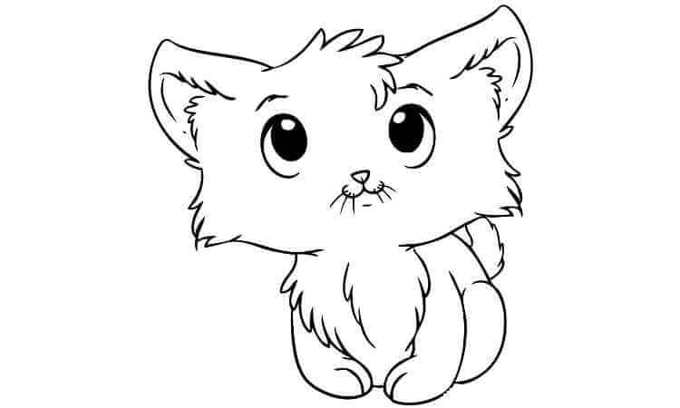 Cat Coloring Page For kids
