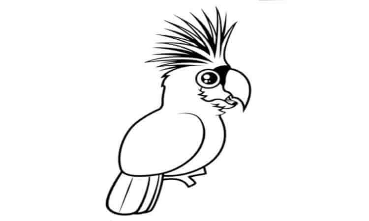 Cockatoos coloring pages