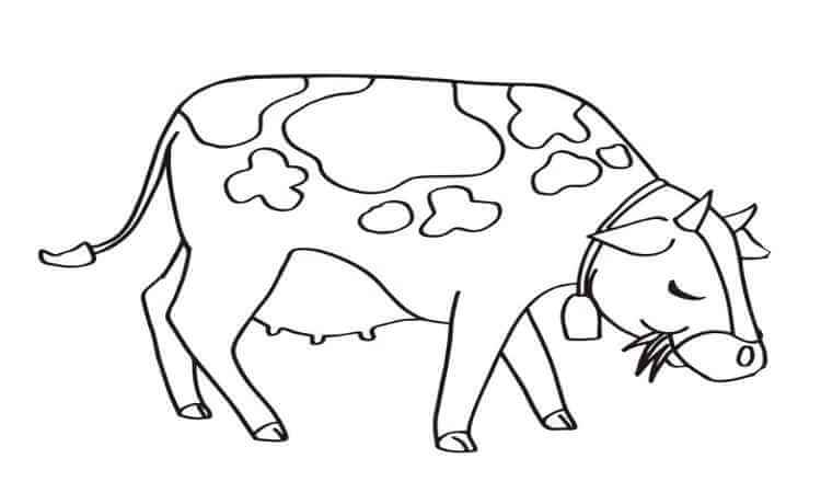 Cow Eating food Coloring pages