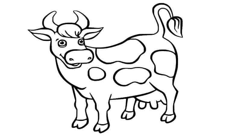 Dairy cow Coloring pages