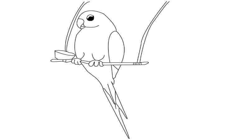Parrot on a swing coloring pages