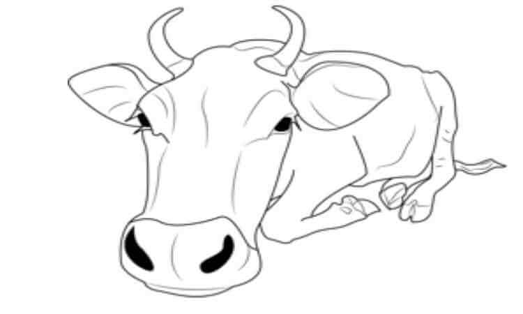 Shang Cow Coloring pages