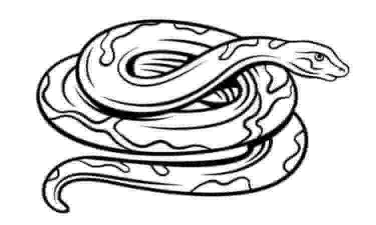 Coiled snake coloring pages