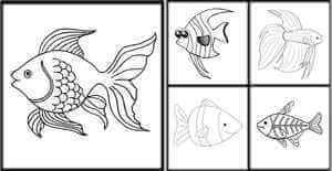 Fish Coloring Pages