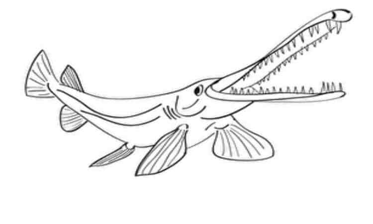 Guard fish coloring pages
