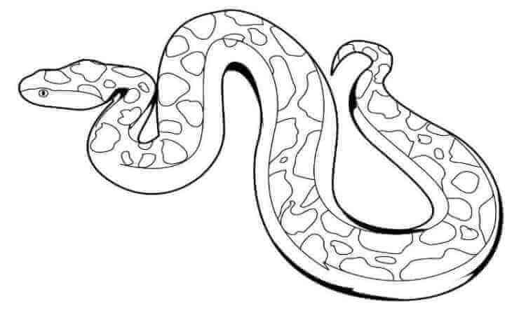 Python snake coloring pages