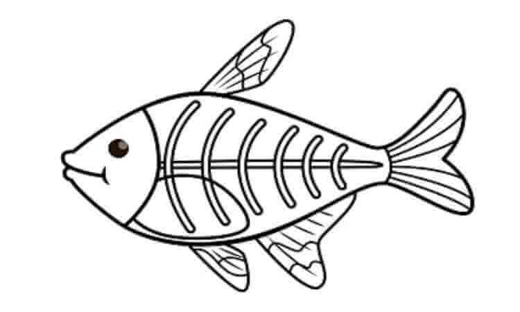 x-ray-fish coloring pages