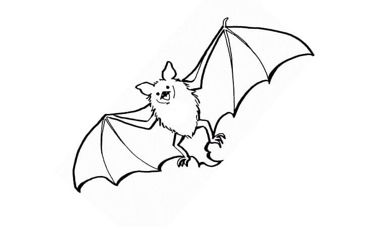Evil bat coloring pages
