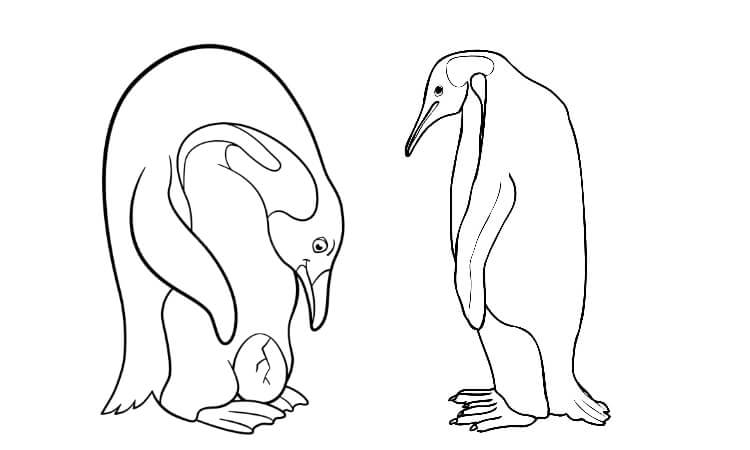 Penguin coloring pages with egg