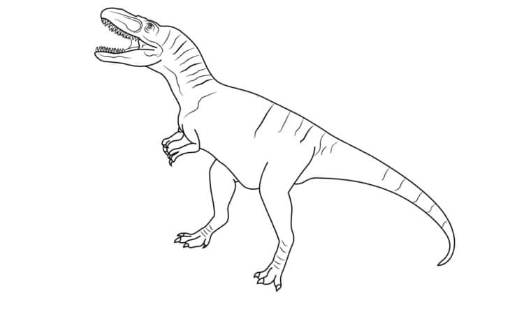 Albertosaurus coloring pages