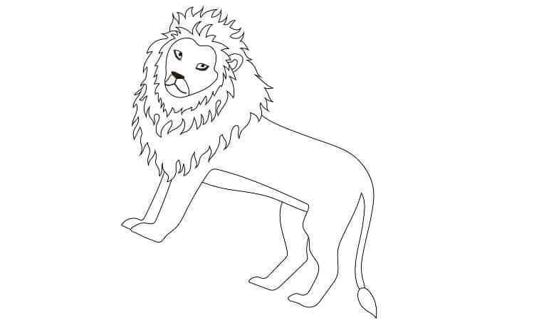 Barbary lion coloring pages