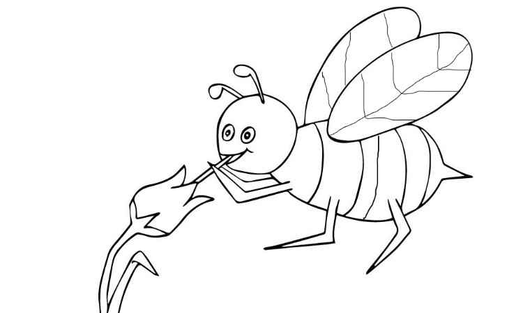 Bee drinking nectar coloring pages