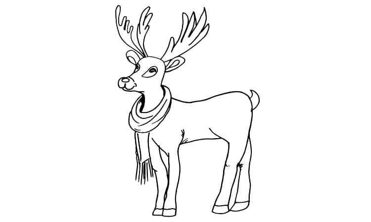 Christmas Rudolph Reindeer coloring