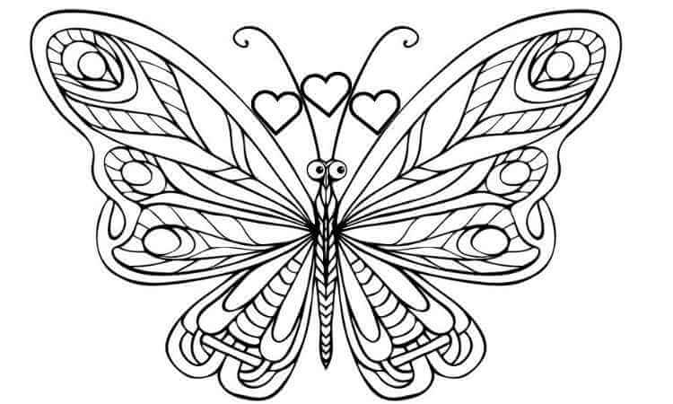 Brush-footed Butterfly coloring pages