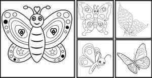 Butterfly coloring pages